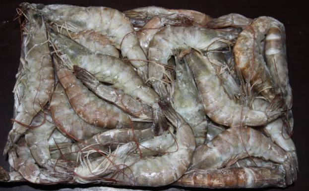 uMڰrPΝS